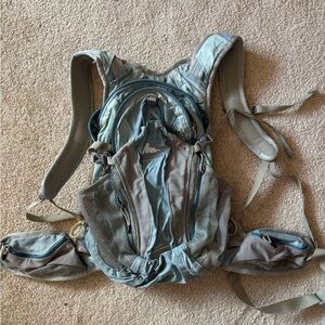 Gregory Light Blue Daypack with Subtle Gray Accents